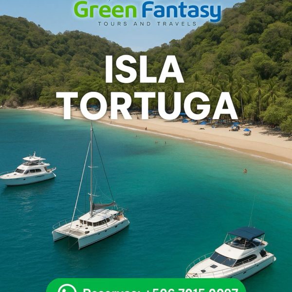 Viajes a Isla Tortuga - Image 7