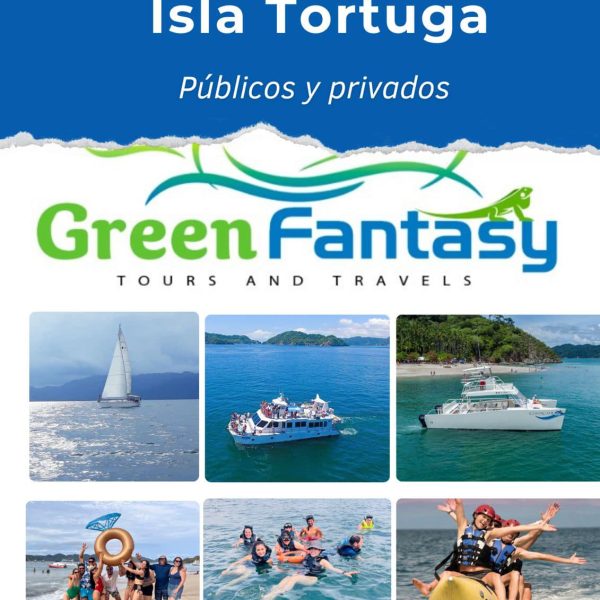 Viajes a Isla Tortuga - Image 2