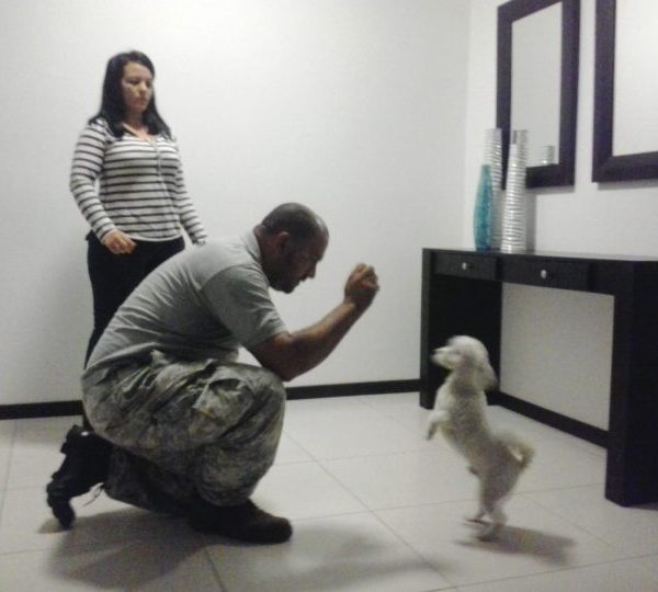 Educación y Adiestramiento canino a domicilio.