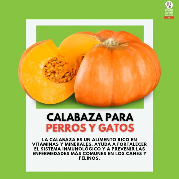 Calabazos para perros y gatos