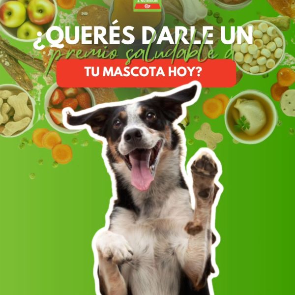 Snacks para perro