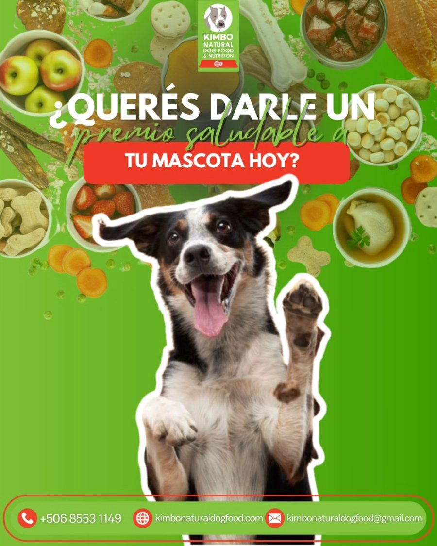 Snacks para perro