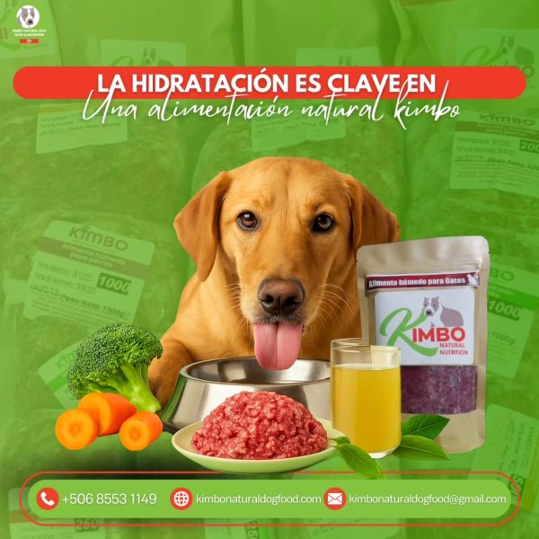 Hidratación canina