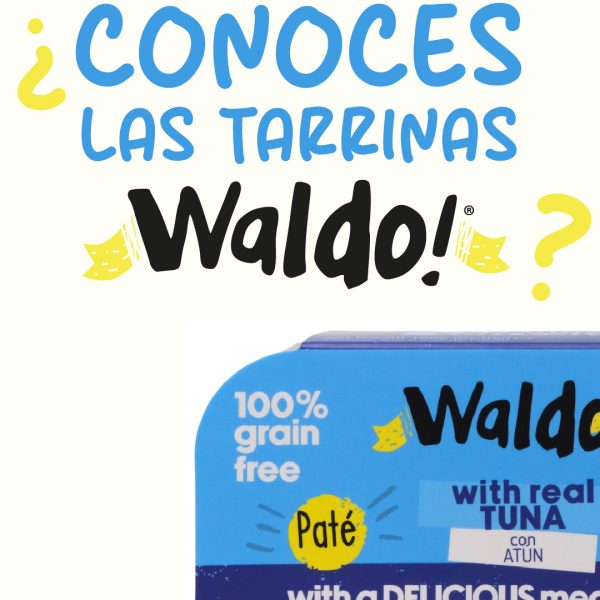 Tarrinas Waldo